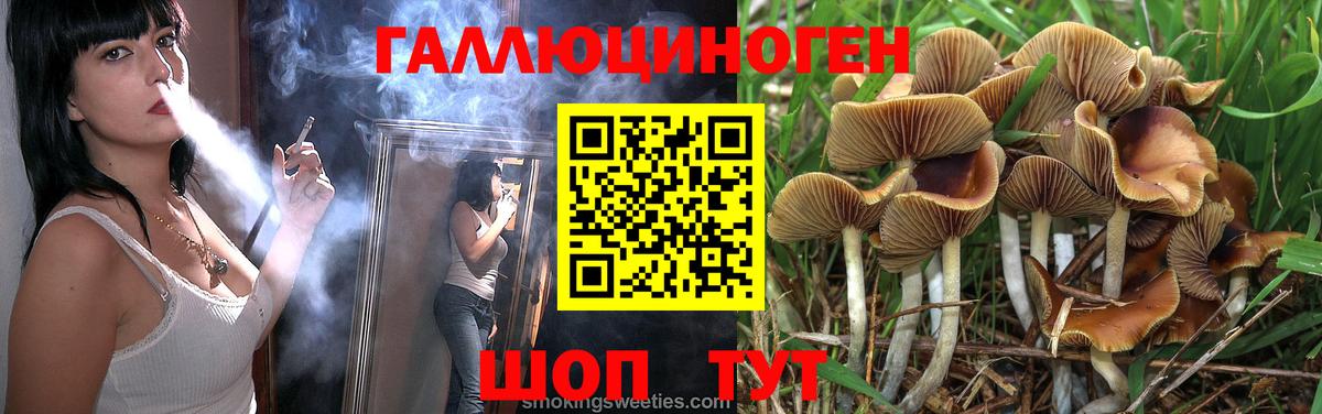 Псилоцибиновые грибы Psilocybe  Вход с VPN  Гусев 